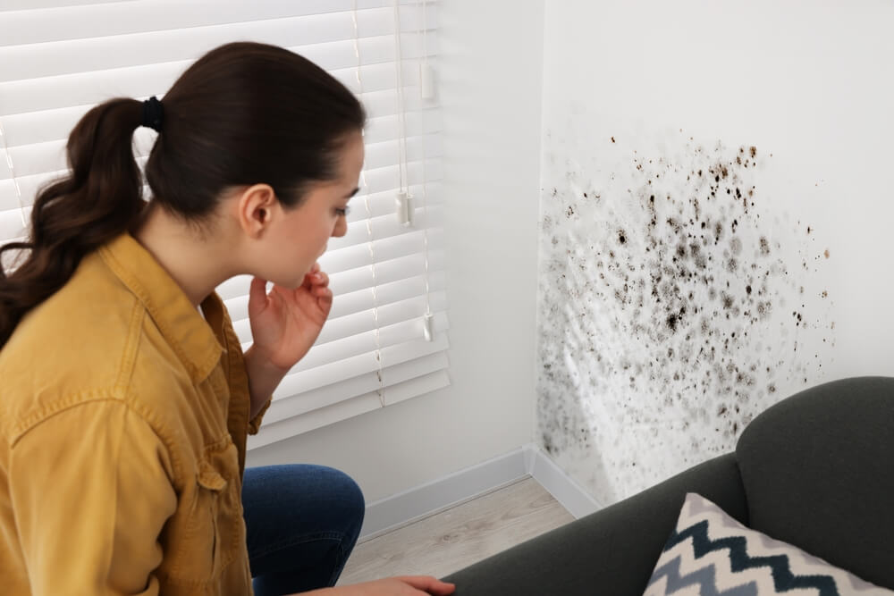 Signs of water damage and mould