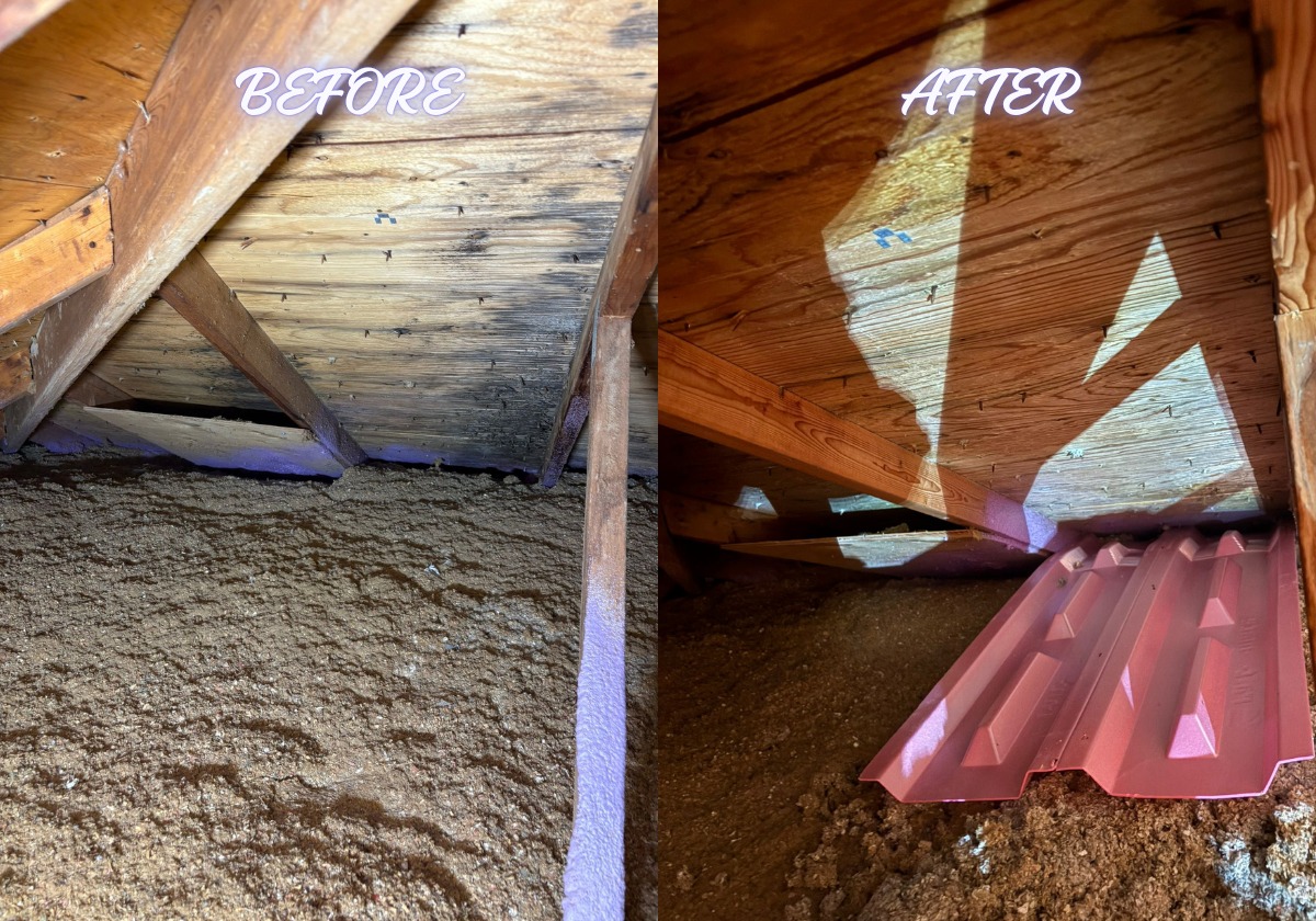Attic mould remediation project